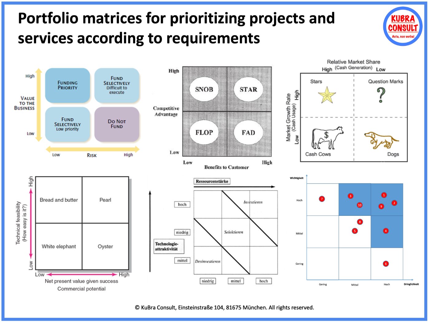 Portfolio matrices for prioritizing projects and services
